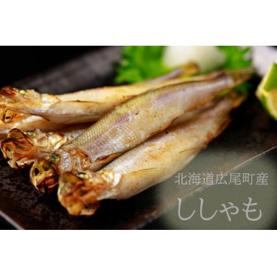 【広尾町産】干物専門店かぶらぎ水産の夫婦ししゃも1箱(オス10尾メス10尾)