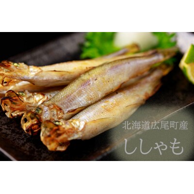 【広尾町産】干物専門店かぶらぎ水産の夫婦ししゃも1箱(オス10尾メス10尾)(J0033)