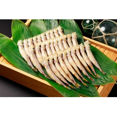 【広尾町産】干物専門店かぶらぎ水産のメスししゃも30尾