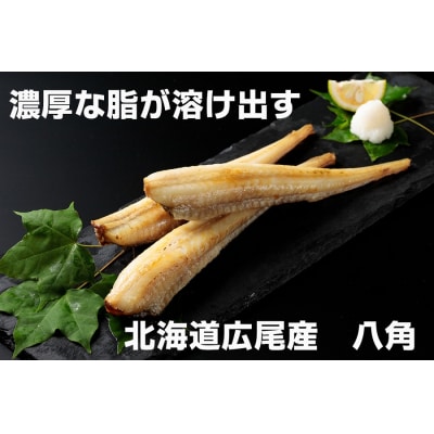 干物専門店かぶらぎ水産の広尾産八角一夜干し9尾セット(J0029)