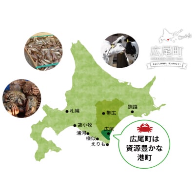 海産問屋カネニ　広尾町産ししゃも特大サイズ　メス20尾(D0007)