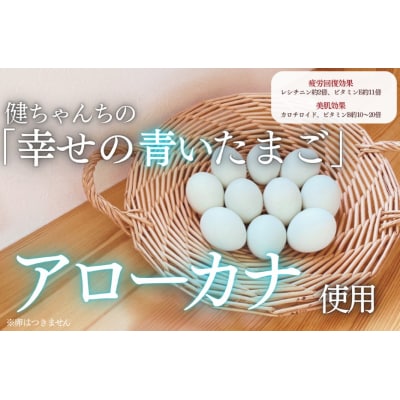 十勝ママシフォン(プレーン)手作り無添加シフォンケーキ(AJ0001)