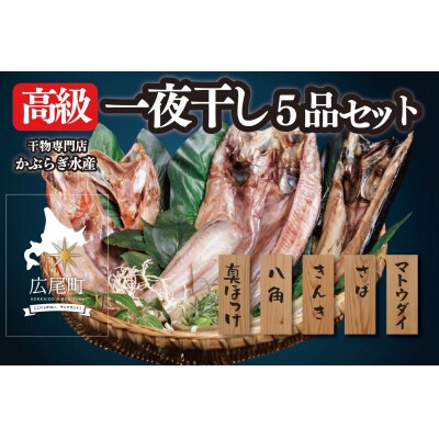 干物専門店かぶらぎ水産の高級一夜干し5品セット(J0032)