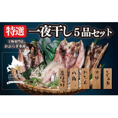干物専門店かぶらぎ水産の特選一夜干し5品セット(J0031)
