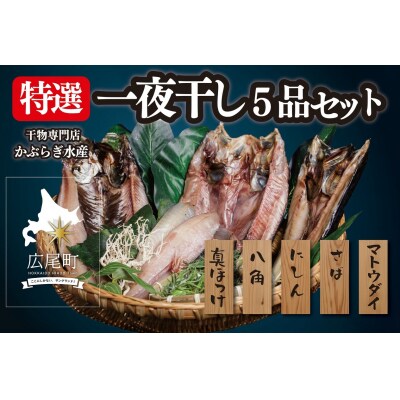 干物専門店かぶらぎ水産の特選一夜干し5品セット(J0031)
