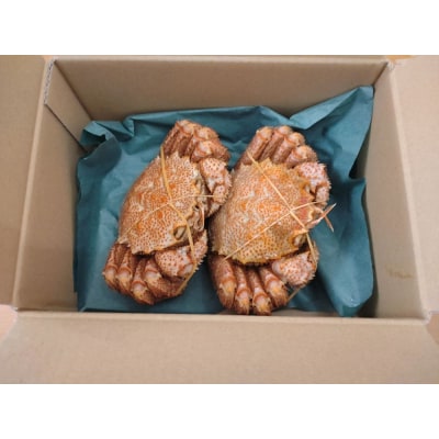 毛ガニ300g×2杯(冷凍茹で)(0100)