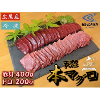 広尾産 本まぐろの刺し身(赤身400g、トロ200g)(AM0008)
