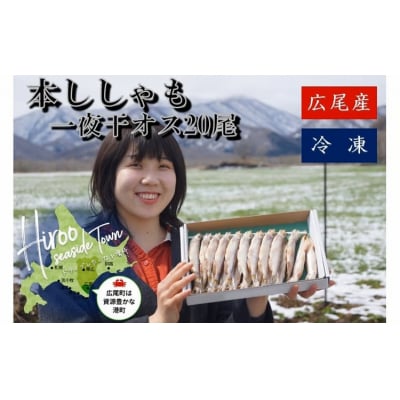 本ししゃも一夜干しオス20尾(0032)