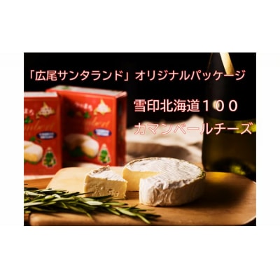 カマンベールチーズ6個(0031)