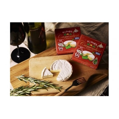 カマンベールチーズ6個(0031)