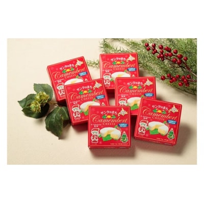 カマンベールチーズ6個(0031)