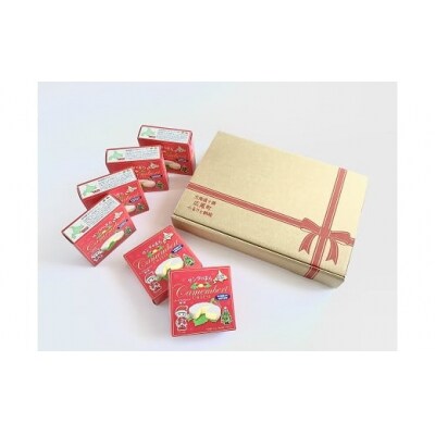 カマンベールチーズ6個(0031)