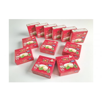 カマンベールチーズ12個(0006)