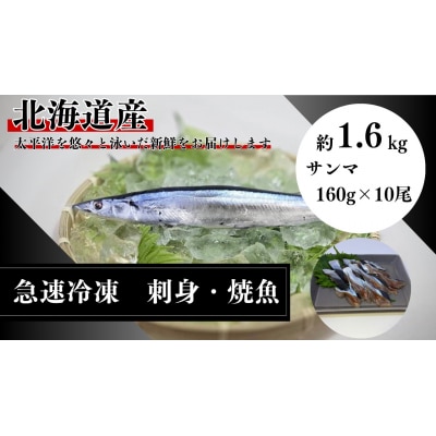 北海道産急速冷凍サンマ　160g×10尾　約1.6kg(AM0012)