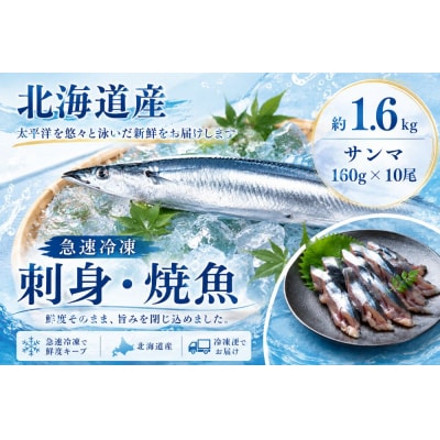 北海道産急速冷凍サンマ　160g×10尾　約1.6kg(AM0012)