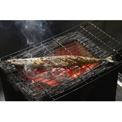 北海道産急速冷凍サンマ　160g×10尾　約1.6kg(AM0012)