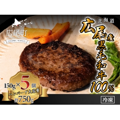 黒毛和牛100%使用　ハンバーグ150g　5個　合計750g(AQ0007)