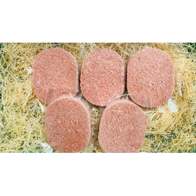 黒毛和牛100%使用　ハンバーグ150g　5個　合計750g(AQ0007)