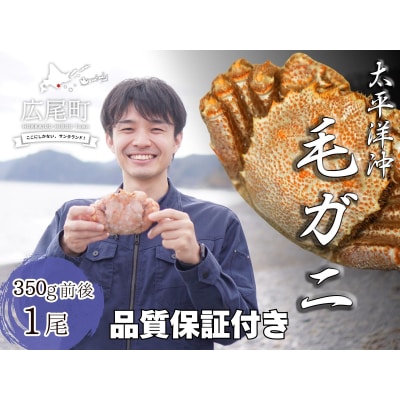 ボイル毛ガニ　350g　1尾(茹で冷凍)(0102)