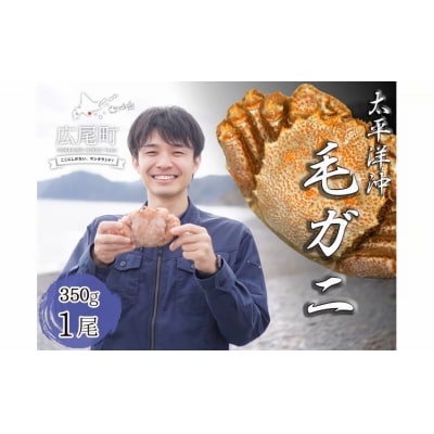 ボイル毛ガニ　350g　1尾(茹で冷凍)(0102)