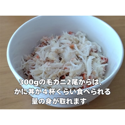 ボイル毛ガニ　350g　1尾(茹で冷凍)(0102)