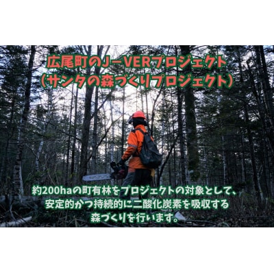 広尾町J-クレジットCO2削減量　1t【Jクレジット　J-VER　カーボンオフセット】(0115)