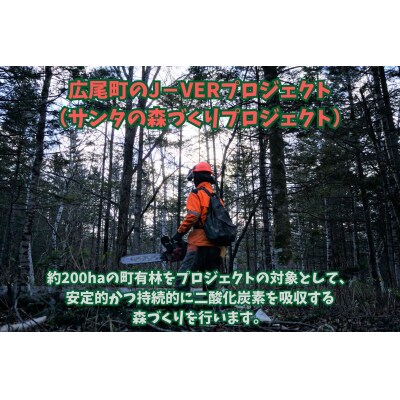広尾町J-クレジットCO2削減量　1t【Jクレジット　J-VER　カーボンオフセット】(0115)