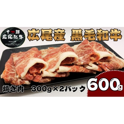 焼き肉用　黒毛和牛 300g×2パック　計600g(AQ0003)