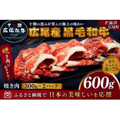 焼き肉用　黒毛和牛 300g×2パック　計600g(AQ0003)