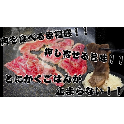 焼き肉用　黒毛和牛 300g×2パック　計600g(AQ0003)