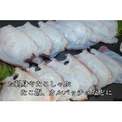 冷凍ゆでだこ(足)　1本　1.5kg以上【国産　太平洋産　無添加　北海道産】(0111)