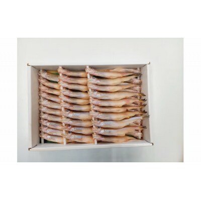 岡嶋の生乾ししゃも大メス40尾(C0009)