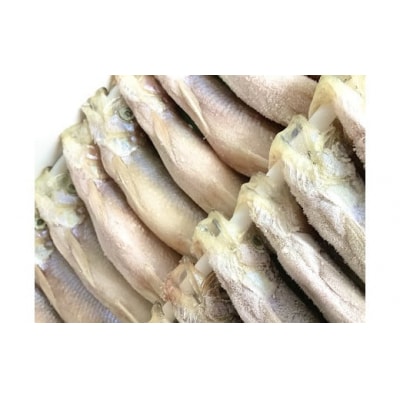 岡嶋の生乾ししゃも大メス40尾(C0009)