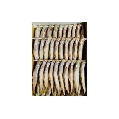 本ししゃも一夜干し中メス40尾(0020)