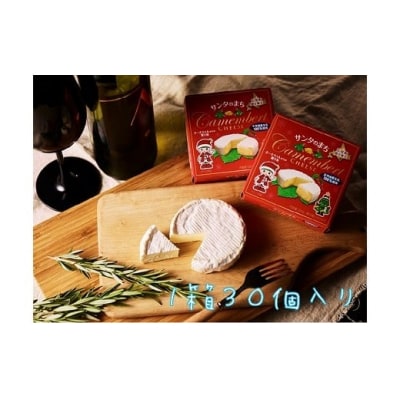 カマンベールチーズ30個(0007)