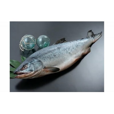 海産問屋カネニ　新巻鮭1本物2kg(D0013)