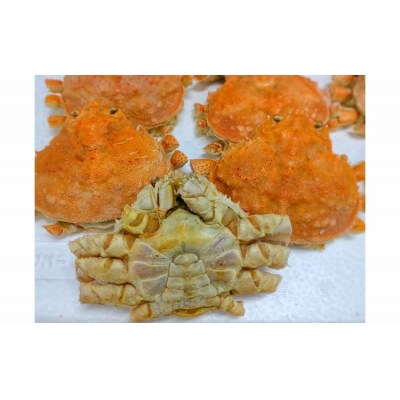 【訳あり】オオズワイガニ甲羅　1kg×2袋【かに　冷凍　甲羅　カニみそ】(K0014)