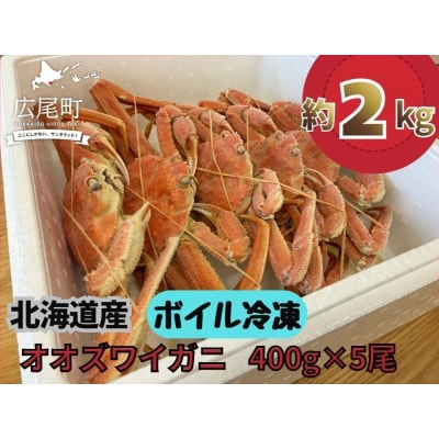 北海道産ボイルオオズワイガニ400g×5尾　合計2kg以上(AM0011)