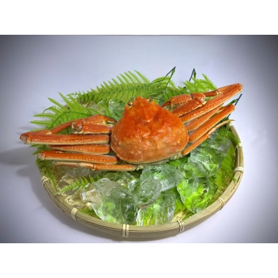 北海道産ボイルオオズワイガニ400g×5尾　合計2kg以上(AM0011)