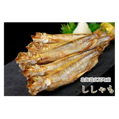 岡嶋水産　生乾しししゃも中オス40尾(C0040)