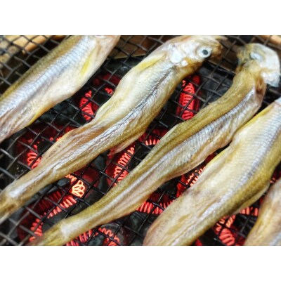 本乾ししゃも60g【本ししゃも　シシャモ　珍味　魚介類　簡単　無添加　北海道　国産】(C0031)