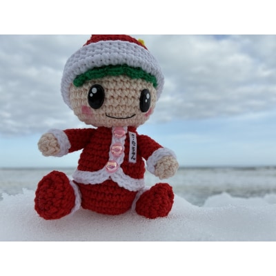 さーたちゃんの編みぐるみ【広尾町　イメージキャラクター　あみぐるみ　人形】(0118)