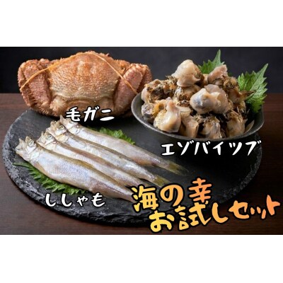 北海道　お試し海の幸3品セット(ししゃも・毛がに・エゾバイツブ)(0121)