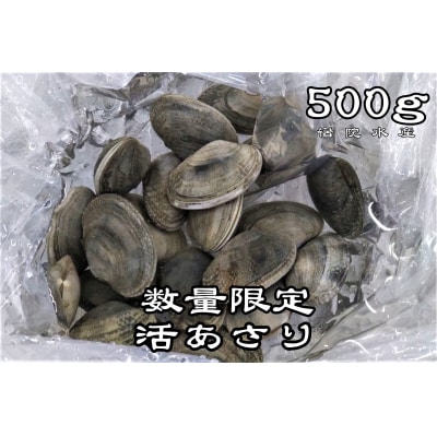広尾町産　数量限定　活あさり　500g【アサリ　貝　生　新鮮　期間限定　北海道】(G0018)