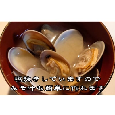 広尾町産　数量限定　活あさり　500g【アサリ　貝　生　新鮮　期間限定　北海道】(G0018)