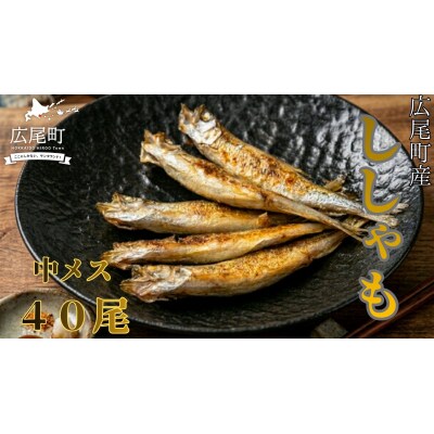 本ししゃも一夜干し中メス40尾(0123)