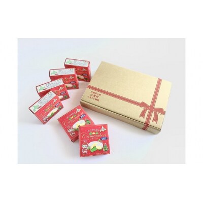 サンタランドのまち広尾町から限定パッケージでお届け カマンベールチーズ6個×6か月定期便　奇数月発送