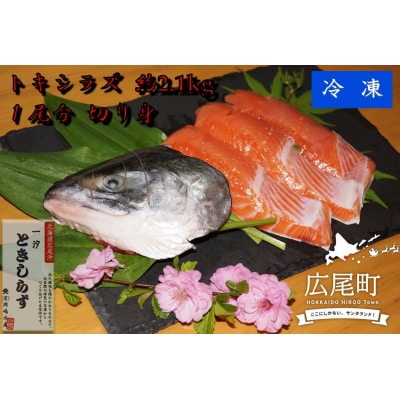トキシラズ　約2.1kg　1尾分 切り身【鮭　時鮭　ときしらず　トキシラズ　北海道】(C0033)