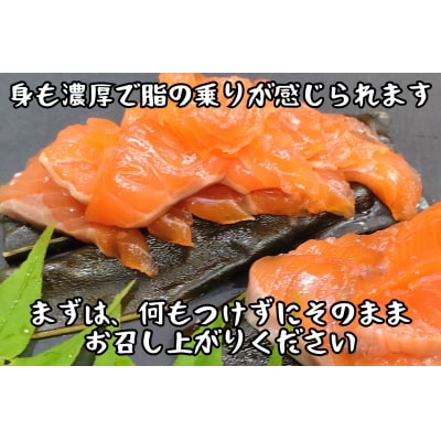 サーモン昆布締め(船上活締め　時知らず(時鮭)の刺身　600g)(0127)