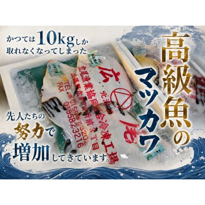 【幻の魚】マツカワの昆布締め　300g(0137)